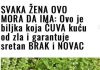 SVAKA ŽENA OVO MORA DA IMA: Ovo je biljka koja ČUVA kuću od zla i garantuje sretan BRAK i NOVAC