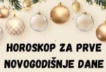 Već u prvim novogodišnjim danima OVI znakovi će zablistati i ostvariti svoje ljubavne i financijske snove!