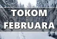 TOKOM FEBRUARA: Rak će uživati u romantičnim trenutcima, Strijelca će stići kajanje, Lav mora biti spreman na iznenađenja, a OVAJ znak će dobiti Jackpot!