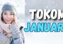 TOKOM JANUARA: Blizanci, Lav i Jarac će doživjet vrtoglavi rast bogatstva, Bik i Rak priliku koja se ne propušta, a Strijelac i Ribe susret iz snova!