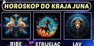 RIBE, STRIJELAC i LAV do kraja Juna: Jeste li svjesni da ste na putu prema NOVOM ŽIVOTU i ŽIVOTU KAKAV ODUVIJEK ŽELITE!