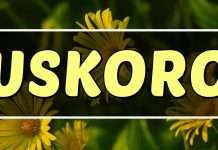 USKORO SE DOGAĐA NEŠTO ŠTO MIJENJA SVE: Ovan i Lav pucaju iznutra, Bik i Jarac gube tlo pod nogama, Blizanci i Vaga razotkrivaju vlastite laži, Rak i Ribe ne mogu više skrivati osjećaje, Djevica i Vodolija ruše sve što su gradili, a Škorpiju i Strijelca čeka povratak koji će ih zateći!