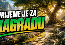 OVE znakove Karma NIJE ZABORAVILA – Ono što im dolazi je TOLIKO POSEBNO da je VRIJEDILO ČEKATI!