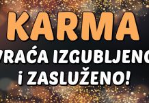 OVAN, RAK i JARAC: Karma vam VRAĆA ONO ŠTO STE DAVNO ZASLUŽILI – do kraja godine DOLAZI ISTINA KOJA MIJENJA SVE!
