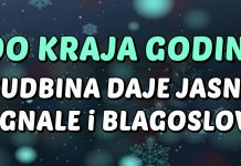 Do kraja godine SUDBINA DAJE JASNE SIGNALE: Ribe, Lav i OVAJ znak ULAZE U NAJBLAGOSLOVLJENIJI PERID IKADA — DOLAZE SREĆA, NOVAC i POBJEDE KOJE MIJENJAJU ŽIVOT!