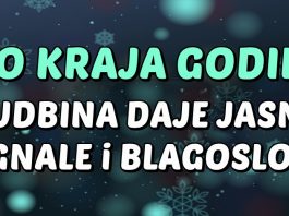 Do kraja godine SUDBINA DAJE JASNE SIGNALE: Ribe, Lav i OVAJ znak ULAZE U NAJBLAGOSLOVLJENIJI PERID IKADA — DOLAZE SREĆA, NOVAC i POBJEDE KOJE MIJENJAJU ŽIVOT!