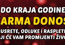 BIK, LAV i VODOLIJA: Do kraja godine Karmički ciklus se zatvara – PRIPREMITE SE ZA SUSRETE, ODLUKE i RASPLETE KOJI ĆE VAM PROMIJENTI ŽIVOT!
