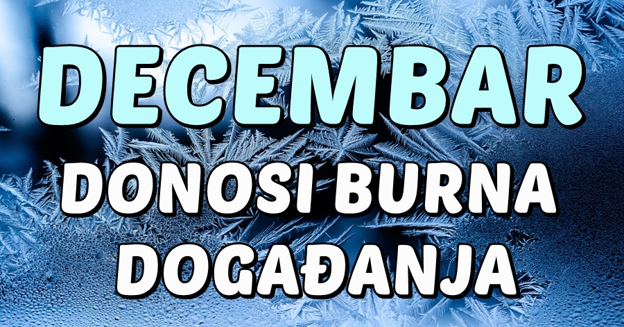 beautiful-frost-pattern-window8