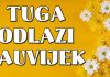 TUGA ODLAZI ZAUVIJEK – A MIR KAKAV NIKAD NISU OSJETILI TEK STIŽE: OVIM znakovima zvijezde donose zasluženi preokret!